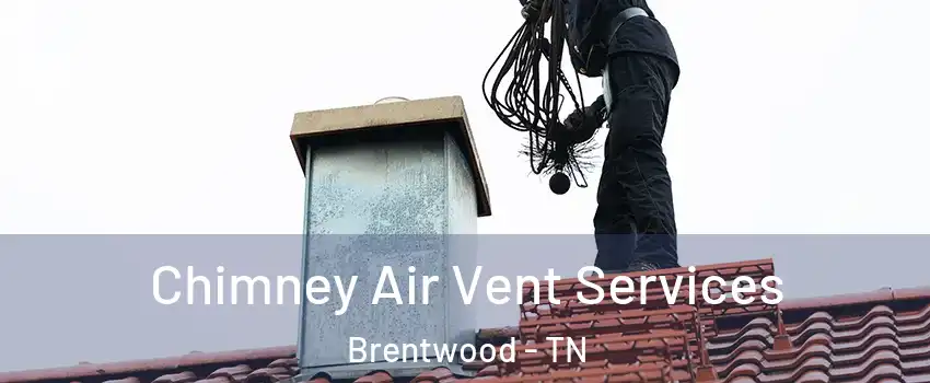  Chimney Air Vent Services Brentwood - TN