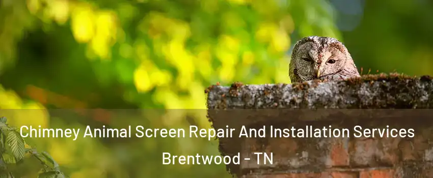  Chimney Animal Screen Repair And Installation Services Brentwood - TN