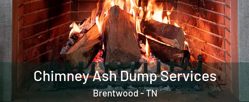  Chimney Ash Dump Services Brentwood - TN