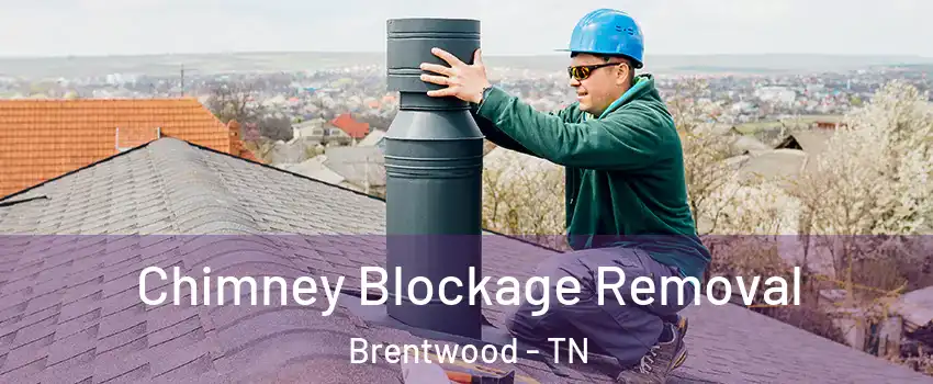  Chimney Blockage Removal Brentwood - TN