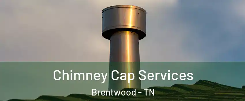  Chimney Cap Services Brentwood - TN