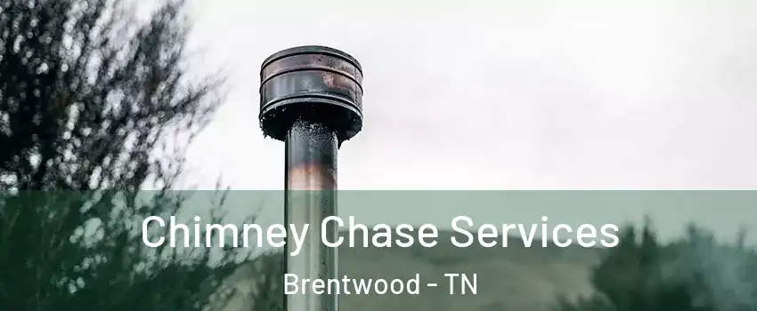  Chimney Chase Services Brentwood - TN