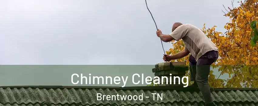  Chimney Cleaning Brentwood - TN