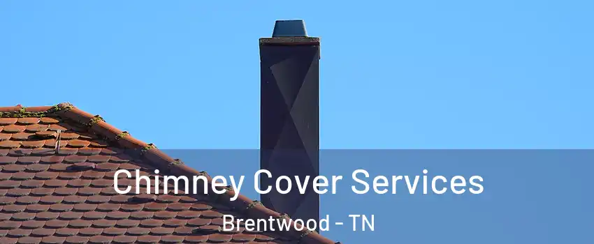  Chimney Cover Services Brentwood - TN