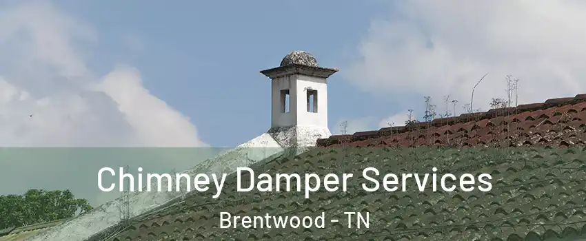  Chimney Damper Services Brentwood - TN