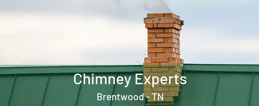 Chimney Experts Brentwood - TN
