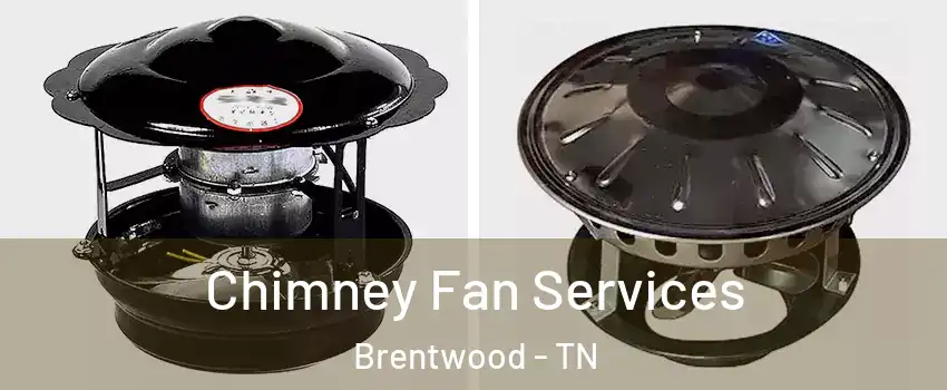  Chimney Fan Services Brentwood - TN