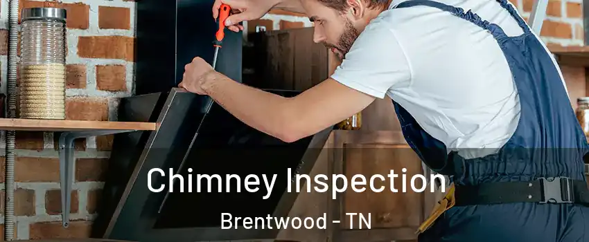  Chimney Inspection Brentwood - TN