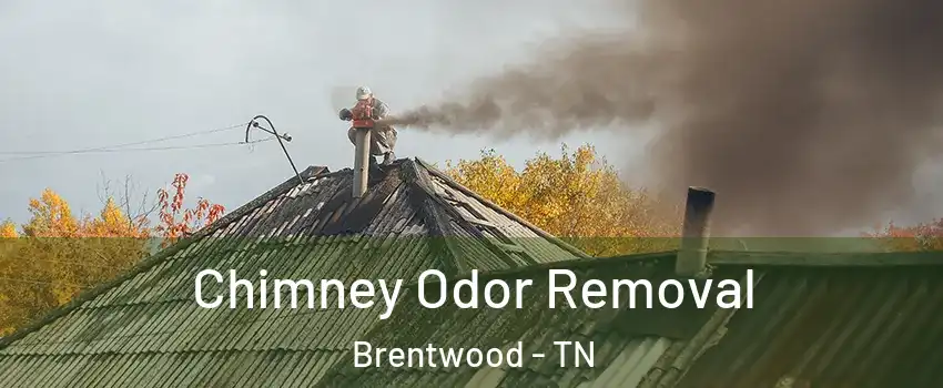  Chimney Odor Removal Brentwood - TN