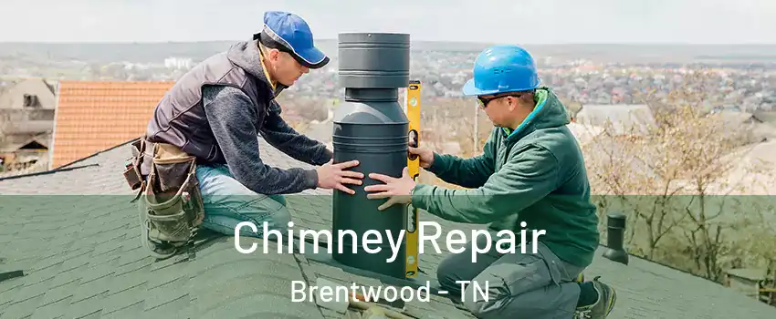  Chimney Repair Brentwood - TN