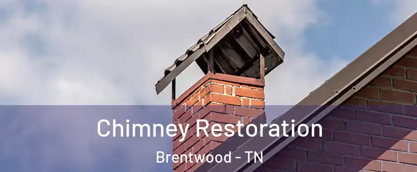  Chimney Restoration Brentwood - TN
