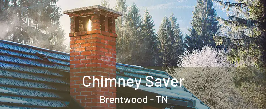  Chimney Saver Brentwood - TN