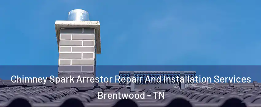  Chimney Spark Arrestor Repair And Installation Services Brentwood - TN