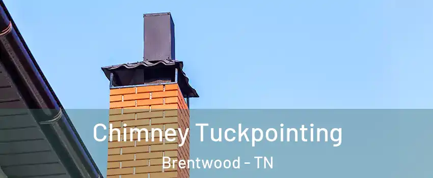  Chimney Tuckpointing Brentwood - TN