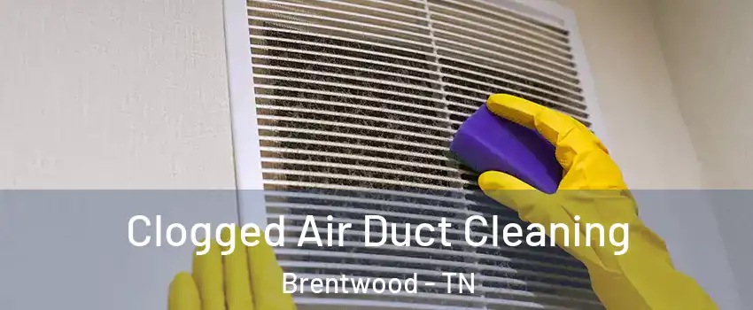  Clogged Air Duct Cleaning Brentwood - TN