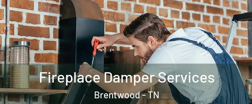  Fireplace Damper Services Brentwood - TN