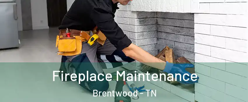  Fireplace Maintenance Brentwood - TN