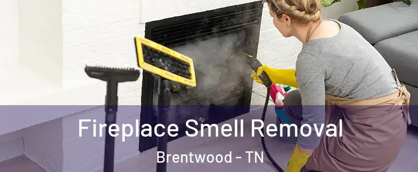  Fireplace Smell Removal Brentwood - TN