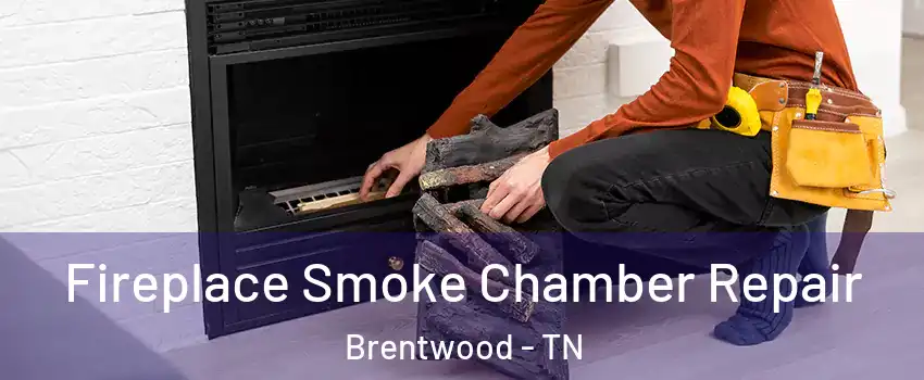  Fireplace Smoke Chamber Repair Brentwood - TN