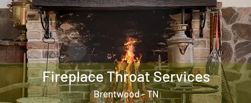  Fireplace Throat Services Brentwood - TN