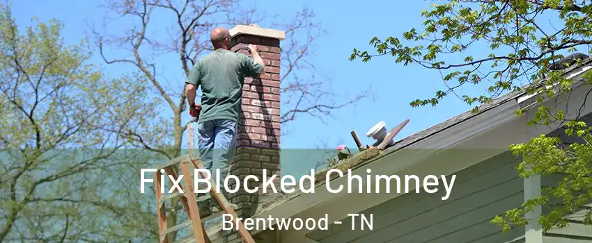  Fix Blocked Chimney Brentwood - TN