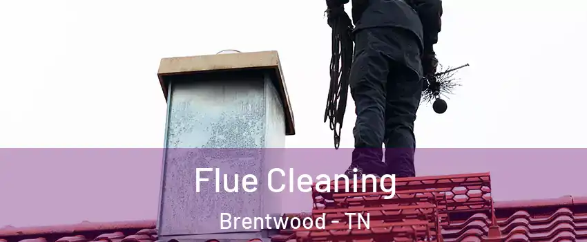  Flue Cleaning Brentwood - TN