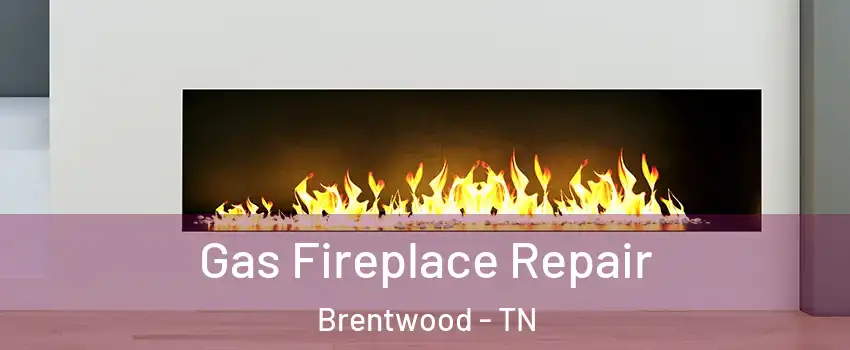  Gas Fireplace Repair Brentwood - TN