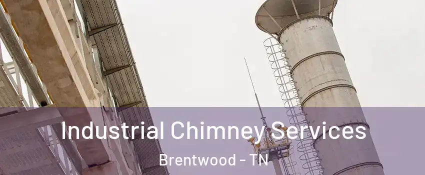  Industrial Chimney Services Brentwood - TN
