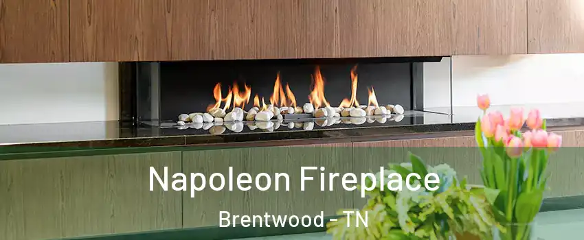  Napoleon Fireplace Brentwood - TN